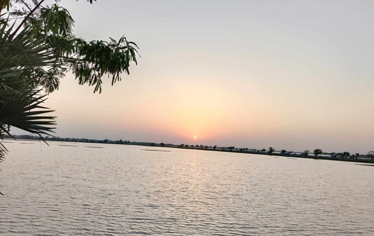 image-here